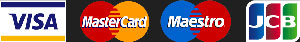 Accepted payment methods icons